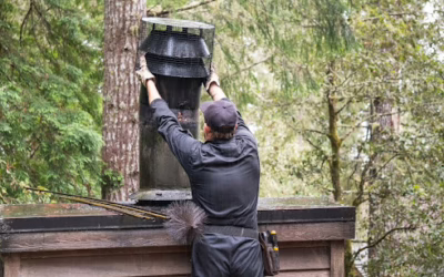 Amazing Chimney Cap vs. Chase Cover: Cost to Replace and Prevent Water Damage in Central Florida