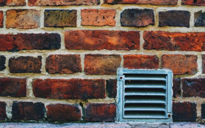 Pest proof dryer vent cover for exterior wall