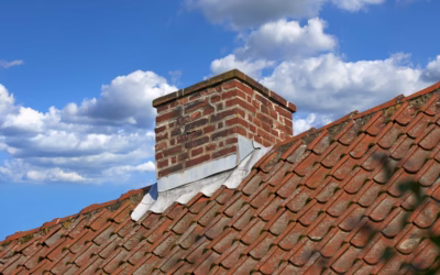 Waterproofing Your Chimney and 5 Reasons Florida Homes Need It Now